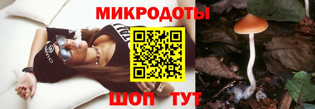 Киселёвск  Галлюциногенные грибы MAGIC MUSHROOMS  Галлюциногенные грибы MAGIC MUSHROOMS  Вход с VPN 